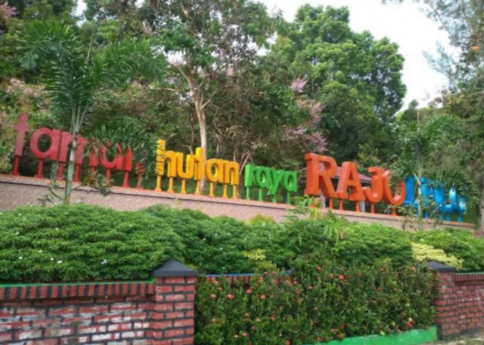 Bosan ke Pantai? Coba Main ke Wisata Taman Hutan Raya Rajo Lelo di Bengkulu