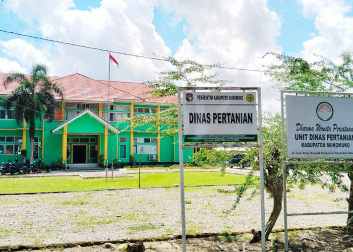 Dinas Pertanian Tolak Replanting Sawit di Lahan HGU dan Kawasan Hutan