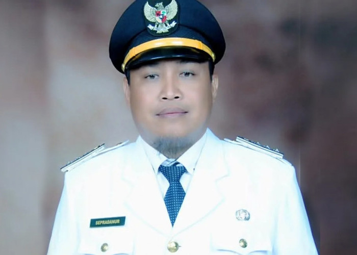 TPS 3R Pulai Payung Tekan Timbunan Sampah Rumah Tangga