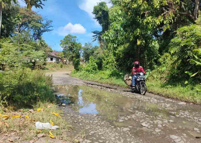 Jalan Buruk, Sinyal Sulit