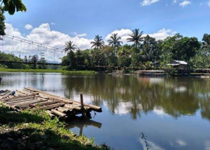 Rekomendasi 4 Wisata Danau yang Indah dan Unik, Wajib Dikunjungi Saat Berlibur ke Bengkulu