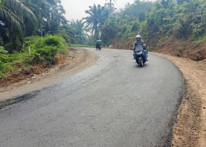 Kuras Anggaran Rp21 Miliar, Kades Soroti Angkutan CPO Over Tonase