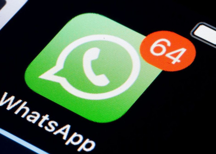 Jangan Panik, Begini Cara Mengembalikan Chat Whatsapp yang Terhapus, Android dan Iphone Bisa!