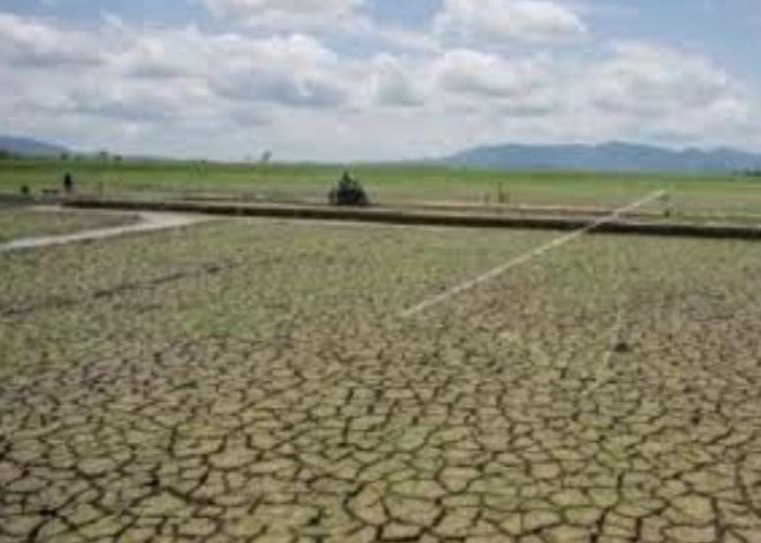 Antisipasi Fenomena El Nino dan Dampaknya, Camat Kumpulkan Kepala Desa se-Putri Hijau