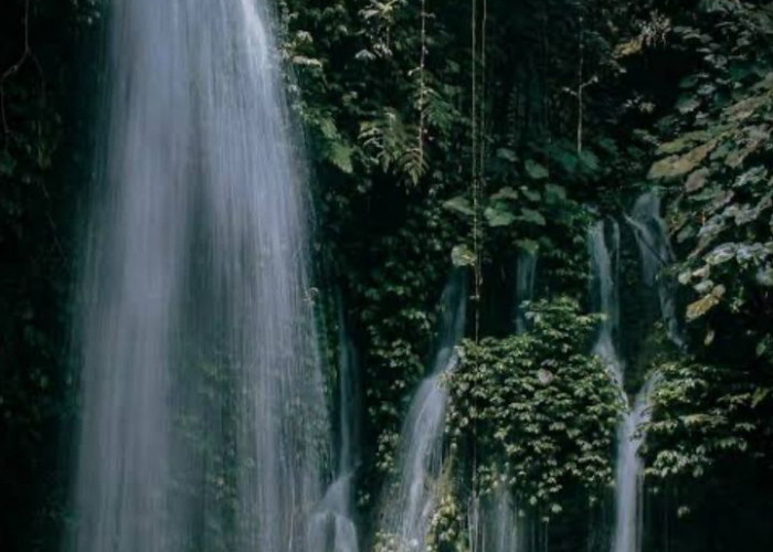 Pesona Air Terjun Donok, Surga Tersembunyi di Balik Hutan Belantara Bengkulu