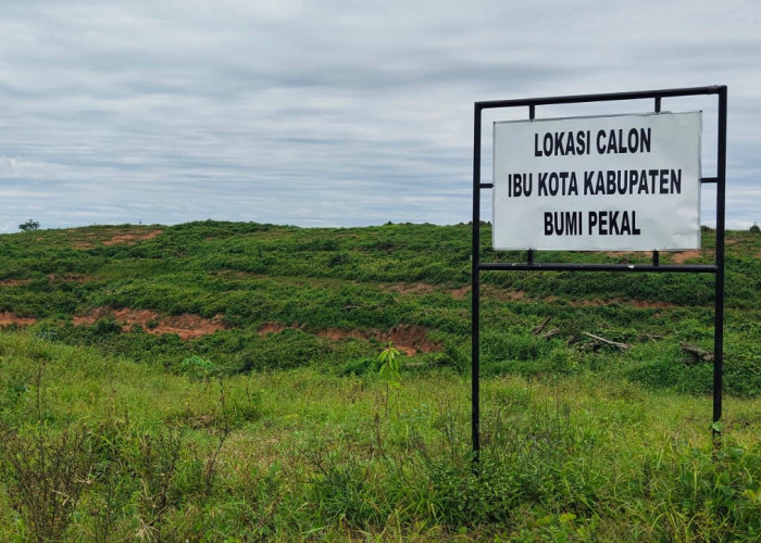 Tokoh Ketrina Soroti Lahan Calon Ibu Kota Bumi Pekal, Jangan Jadi Tanah Mati! 