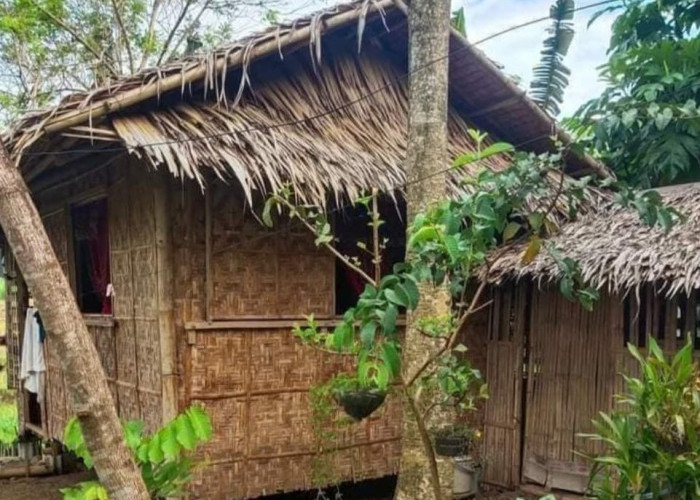 Jangan Anggap Sepele, Ternyata Rumah Inspirasi Suasana Desa dari Bambu Ini Bikin Nostalgia