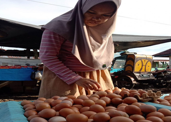 MBG Libur, Harga Kebutuhan Pangan Turun, Warga Sumringah