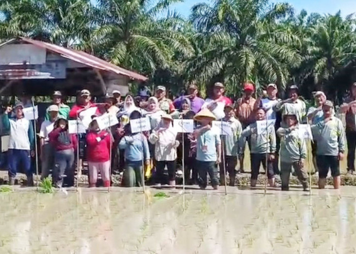 Program Oplah Suka Baru Terus Digenjot, Petani Harap Dukungan Alsintan