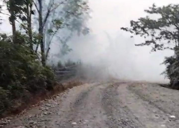 Kebakaran Lahan di Perkebunan Karet Milik PT Air Muring Bikin Warga Panik
