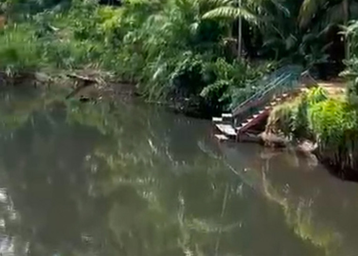 Sungai Selagan Menghitam, DLH Mukomuko Tunggu Hasil Uji Laboratorium