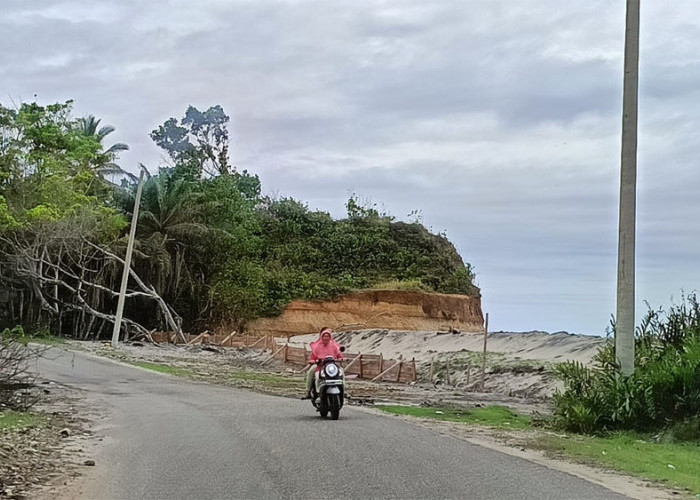Abrasi Pesisir Diusulkan Masuk Kerangka Risiko Bencana, Berharap Penanganan Konkret 