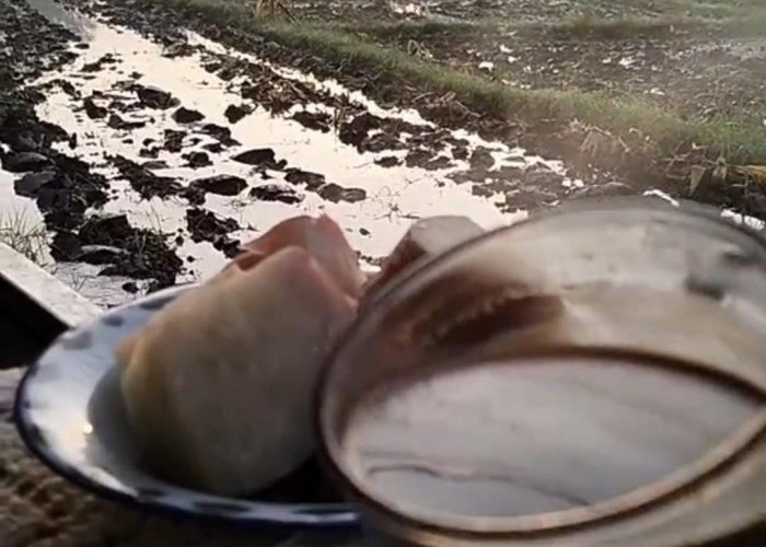 Tips Membuat Kopi Hitam yang Nikmat dan Sehat untuk Dikonsumi Harian