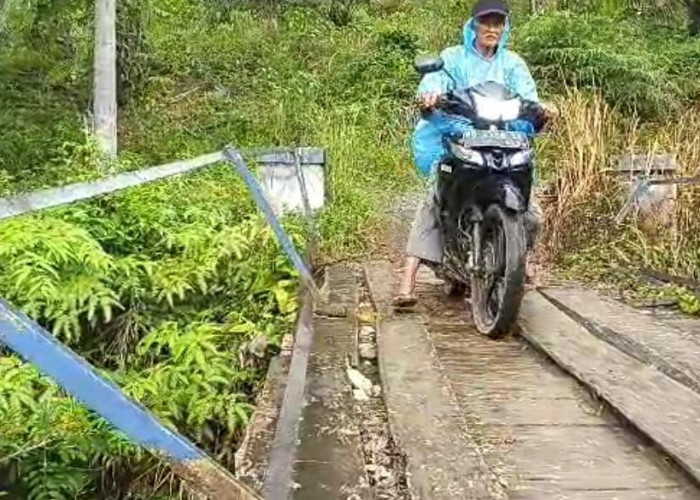 Dua Jembatan di Desa Talang Tua Butuh Perbaikan Segera