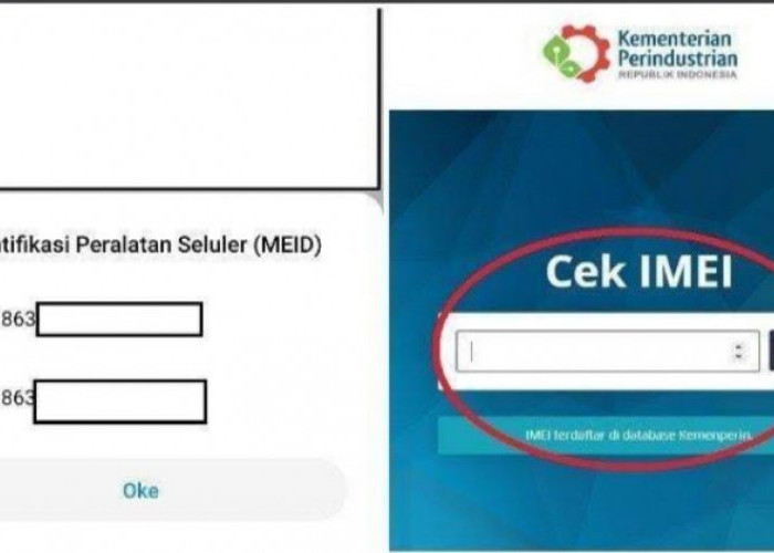 Cara Cek IMEI iPhone Resmi atau Ilegal dari Website Kemenperin dan Bea Cukai