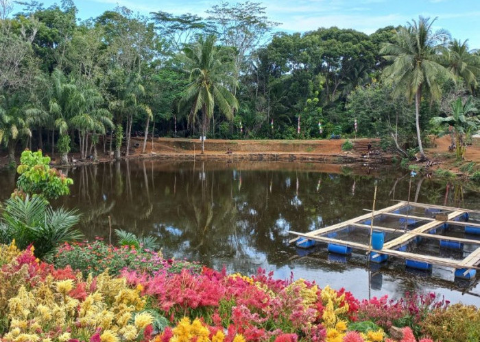 Dulunya Area Kumuh di Bengkulu Tengah, Kini Disulap Jadi Taman Cantik yang Dipenuhi Wisatawan