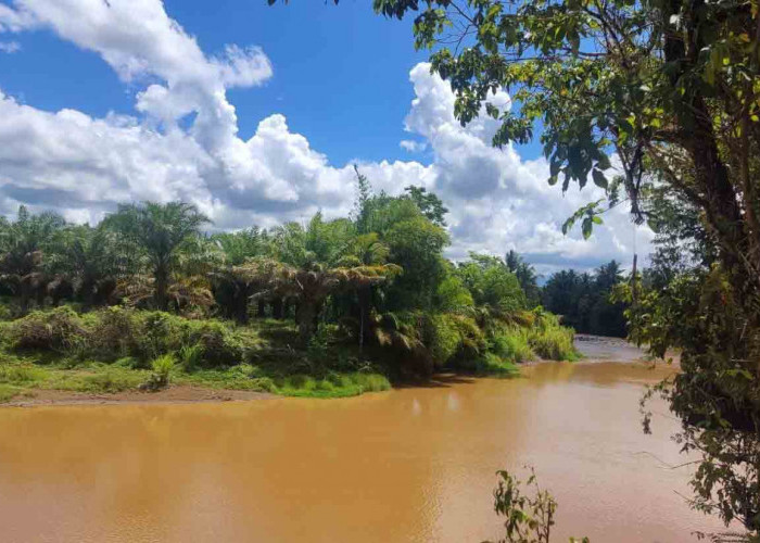 Jernihnya Sungai TAP Hanya Tinggal Kenangan?