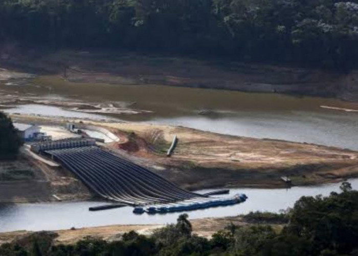 Tidak Hanya Indonesia, Kemarau Panjang Juga Terjadi di Brazil, Beberapa Wilayah Dilaporkan Kekeringan
