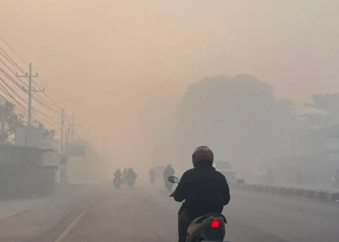 Kabut Asap Mulai Selimuti Bengkulu, Jarak Pandang Masih Aman
