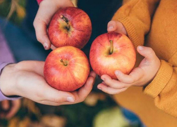 Sering Dijadikan Menu Diet, Ternyata Buah Apel Juga Sangat  Bagus untuk Kesehatan Kulit