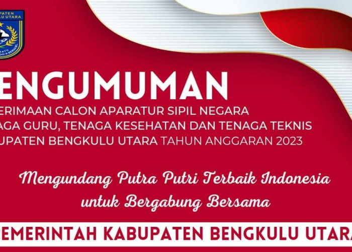 1.924 Formasi Calon ASN PPPK 2023 Kabupaten Bengkulu Utara, Terbanyak Guru dan Kesehatan, Ini Rinciannya