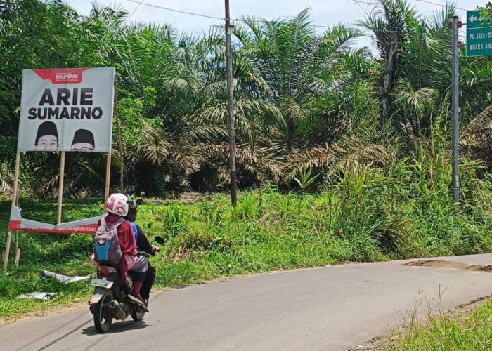 Puluhan Baliho Dirusak, Tim Arie dan Sumarno Minta Simpatisan Diminta Tidak Terprovokasi