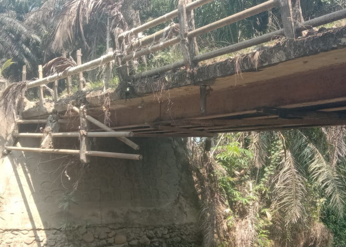 Usulan Pembangunan Jembatan Air Mumbang di Karya Jaya Tak Kunjung Ditindak Lanjuti, Begini Kondisinya Sekarang