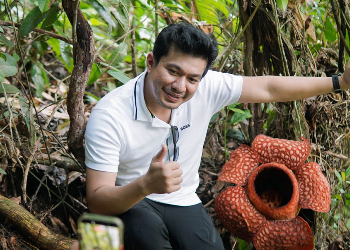 Bupati Arie Tegaskan Bengkulu Utara Komitmen Untuk Menjaga Bunga Rafflesia Kemumu