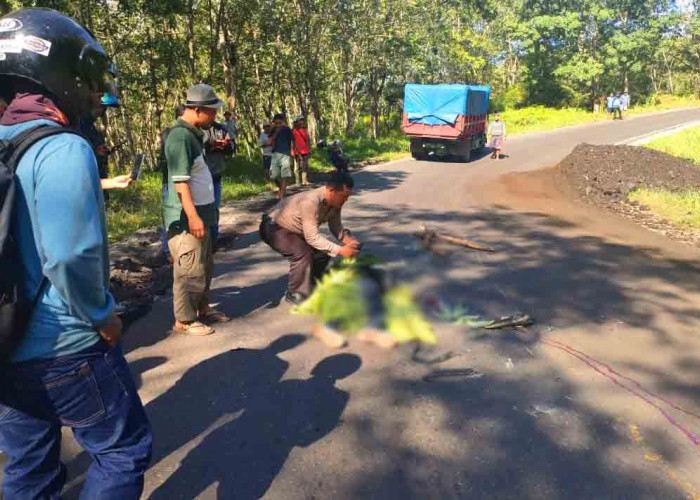 Masuk Kolong Truck, Pelajar Asal Mukomuko Tewas di Tempat