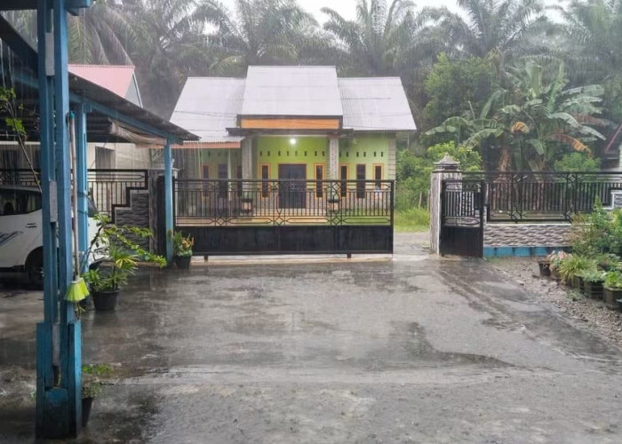 Hujan Deras Guyur Mukomuko, Warga Diminta Waspada Banjir dan Longsor