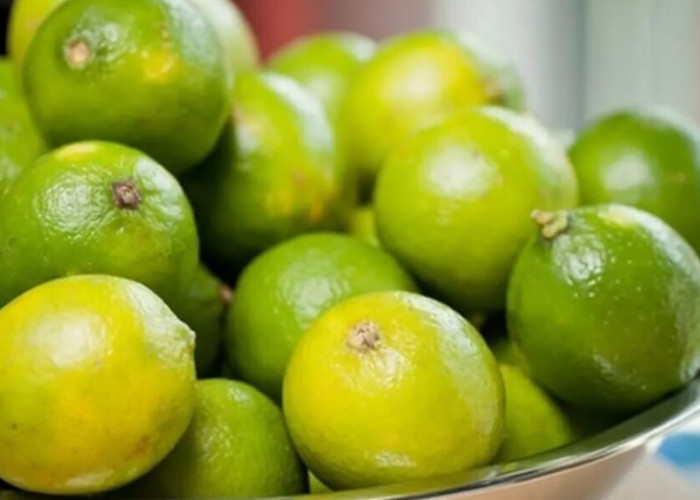 Dibalik Rasanya yang Asam, Ternyata Buah Jeruk Kaya Manfaat untuk Kesehatan Tubuh