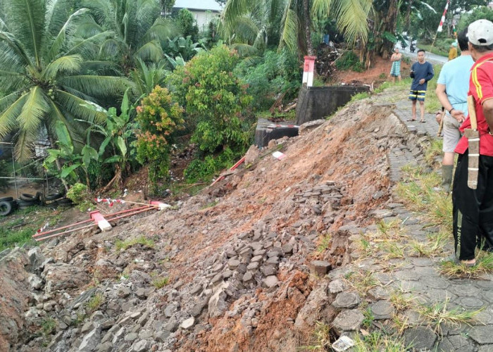Tebing Longsor di Lubuk Mindai Sudah Diusulkan ke BPBD Kabupaten dan Provinsi, Camat: Semoga TA 2024 Tercover