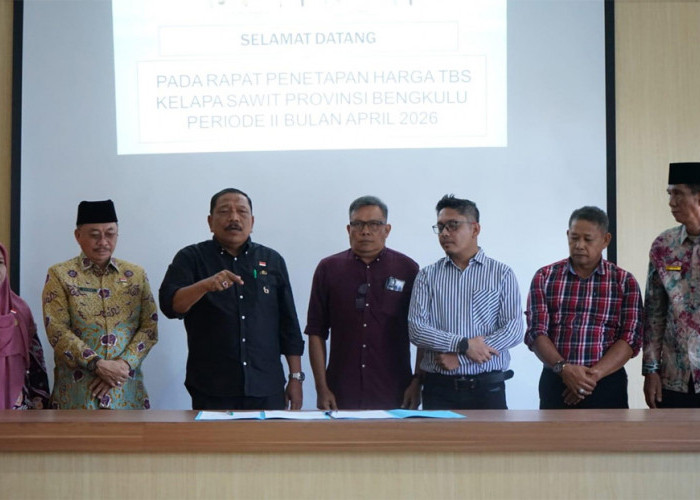 Harga TBS Kelapa Sawit di Bengkulu Berpotensi Rugikan Petani