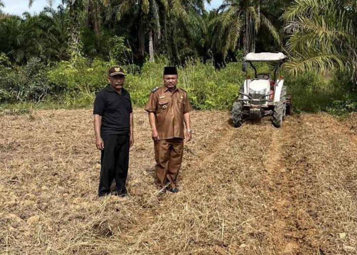 Belasan Tahun Diusulkan, Pembangunan SD di Lubuk Sanai III Belum Terwujud