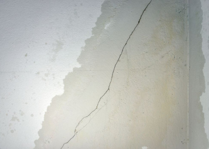 Ini Cara Efektif Mengatasi Tembok Lembap di Rumah Saat Musim Hujan