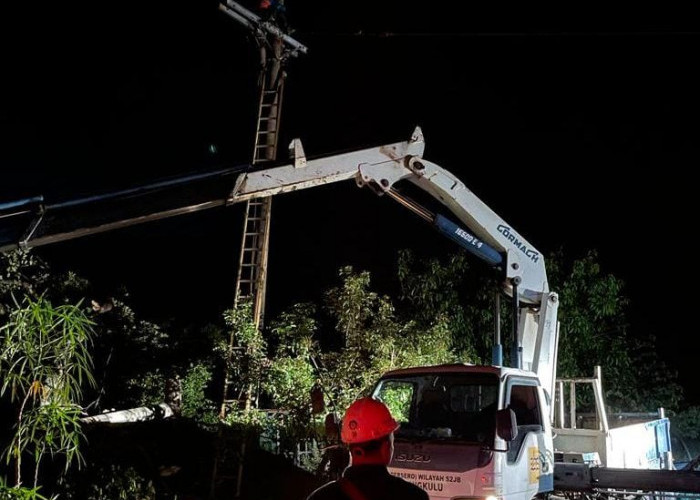 Tempo 24 Jam, PLN Berjibaku Perbaiki Belasan Tiang Listrik Roboh Pasca Badai