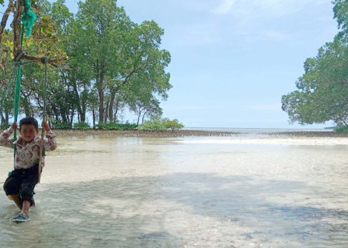 Empat Wisata Unggulan Pulau Enggano di Desa Kaana