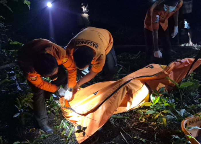 Pergi Cari Berondol, Warga XIV Koto Ditemukan Meninggal di Kebun Sawit