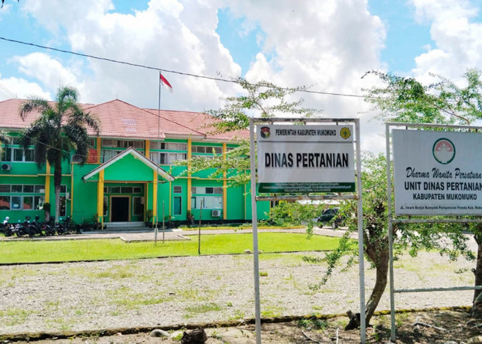 Perkebunan Sawit Rakyat Pegang Kendali Ekonomi di Mukomuko