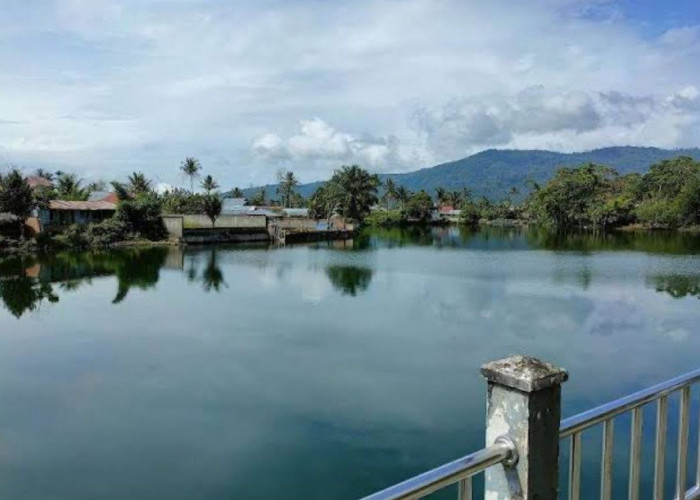 Wisata Danau Bermanei, Spot Healing Baru untuk Berburu Foto Instagramable
