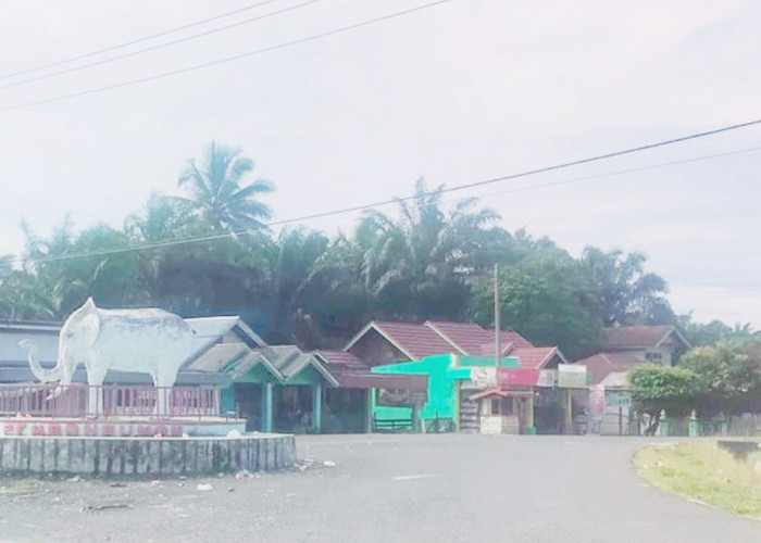 Berharap Penuntasan Jalan Tugu Gajah-Talang Arah Melalui Dana IJD