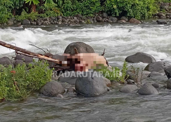 Breaking News: Dikabarkan Hilang, Jasad Pemuda Asal Karang Anyar Ditemukan di Sungai Lubuk Sahung