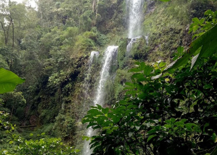 Menikmati Air Terjun dan Kawah Aktif di Bukit Hitam Bengkulu, Surga Bagi Pecinta Alam