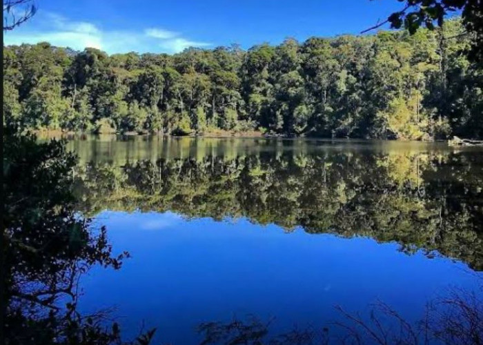 Danau Tumutan Tujuh, Objek Wisata yang Wajib Dikunjungi Jika ke Kaur Bengkulu