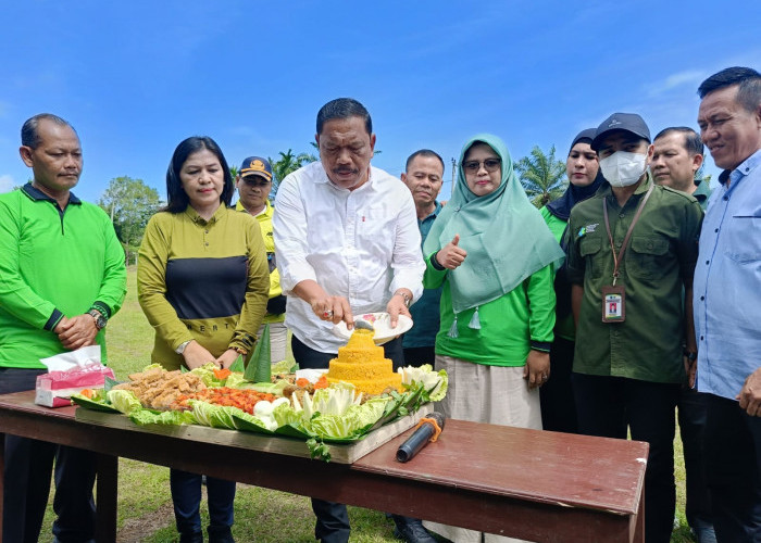 Launching ILP dan Gerakan Aktifkan Posyandu oleh Bupati Bengkulu Utara di MSS Sukses