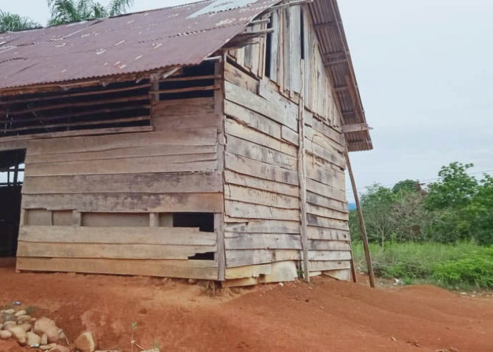 Status Lahan Sekolah Reot di Kinal Jaya Hibah dari Desa