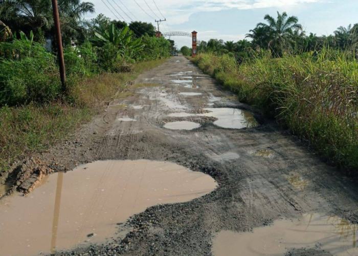 Peningkatan Jalan Melati Harjo-Dusun Raja Sudah Diusulkan Melalui Musrenbangcam