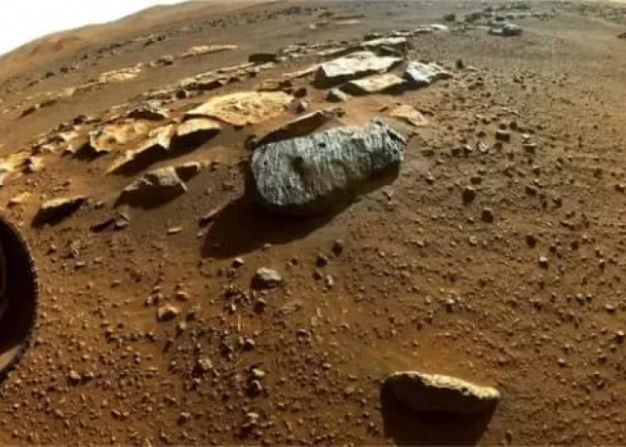 'Sampah' di Mars jadi Bukti Jejak Awal Eksplorasi Manusia yang Perlu Dilestarikan