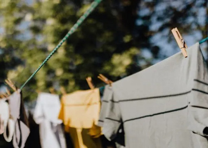 Tidak Selamanya Mimpi Mencuri Bertanda Buruk, Bisa Saja Artinya Mendatangkan Rezeki