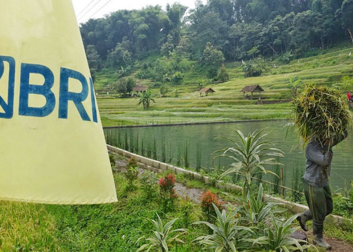 Ramah Lingkungan dan Berdampak Sosial, Ini Komitmen Nyata BRI Terapkan Prinsip ESG untuk Bisnis Berkelanjutan